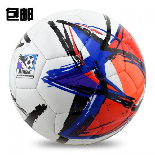 Ballon de foot 5096