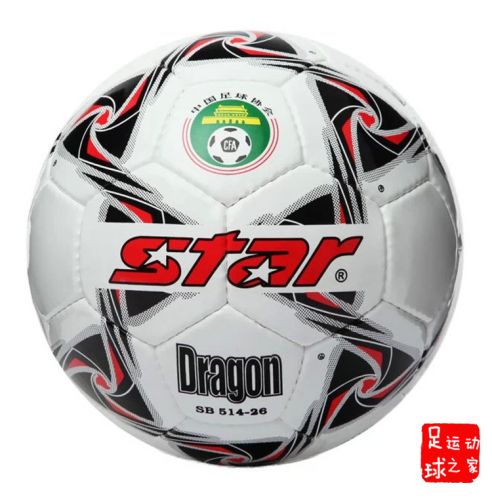 Ballon de foot - Ref 5308