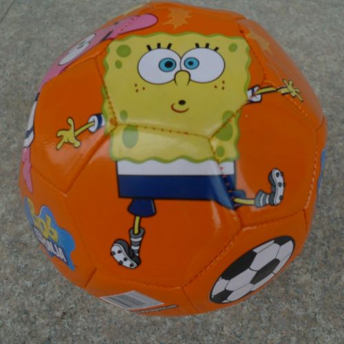 Ballon de foot - Ref 5316