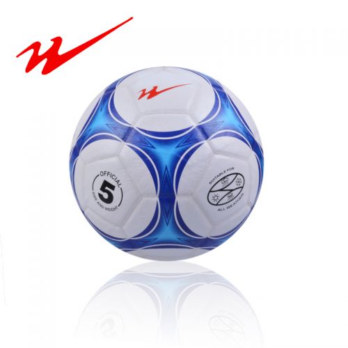 Ballon de foot - Ref 5391