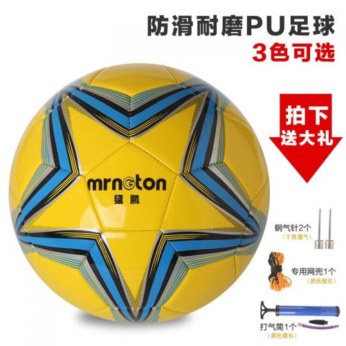 Ballon de foot - Ref 5543