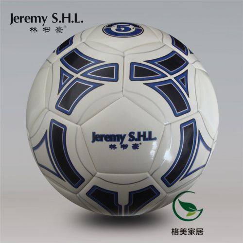 Ballon de foot - Ref 5579