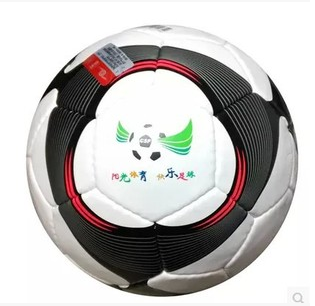 Ballon de foot - Ref 6366