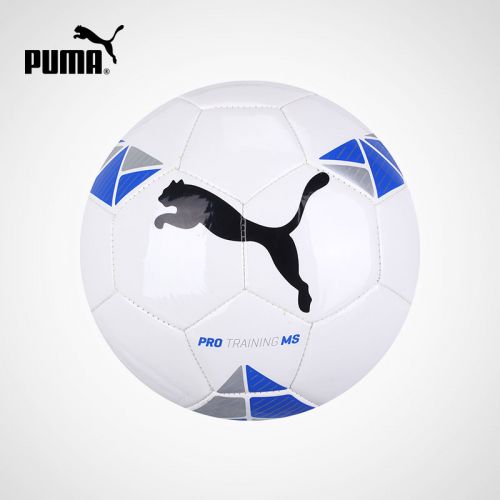 Ballon de foot 6505