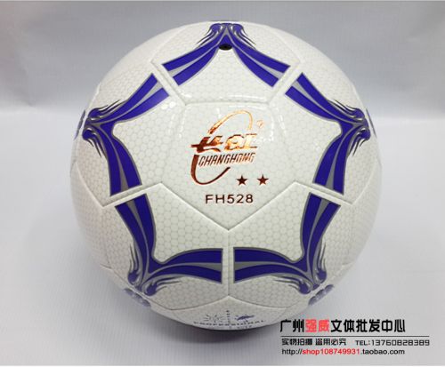 Ballon de foot - Ref 6702