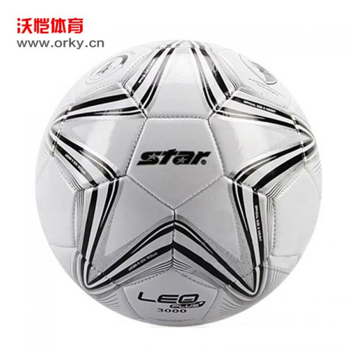 Ballon de football - Ref 5094