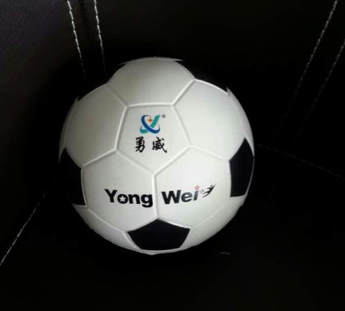 Ballon de football - Ref 5231