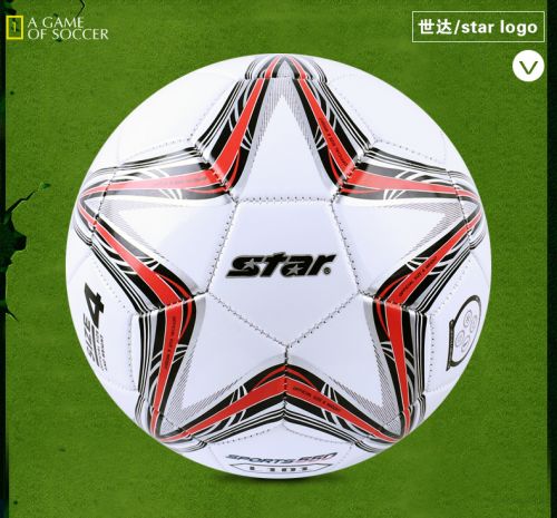 Ballon de football - Ref 5291