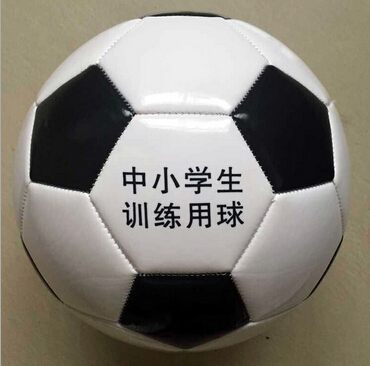 Ballon de football - Ref 5390