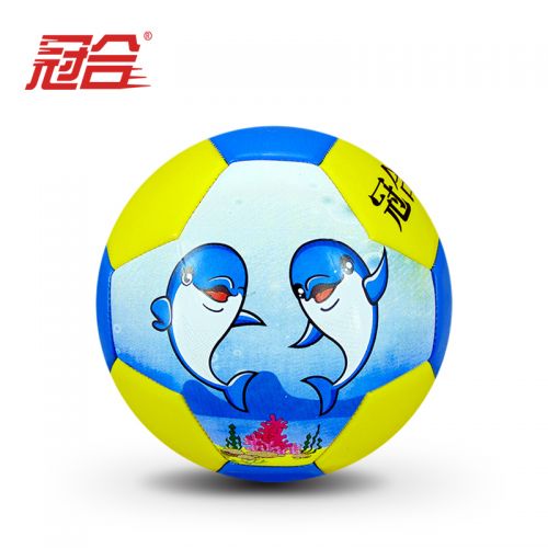 Ballon de football - Ref 6066