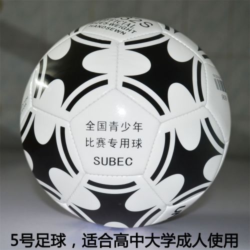 Ballon de football 6202
