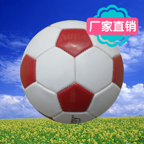 Ballon de football 6491