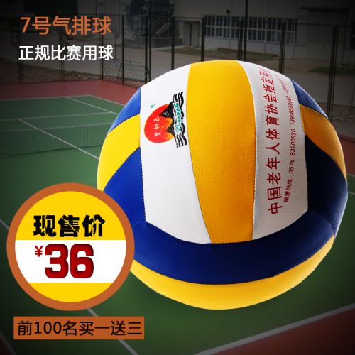 Ballon de volley ball 2007975