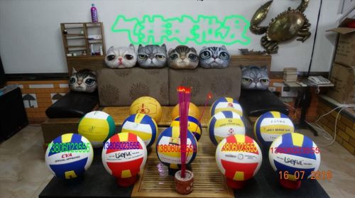 Ballon de volley-ball - Ref 2008000