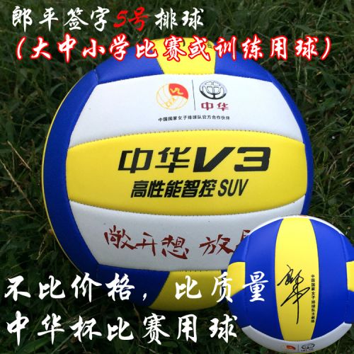 Ballon de volley-ball - Ref 2008006
