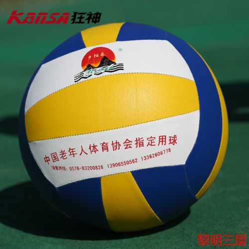 Ballon de volley-ball - Ref 2008023
