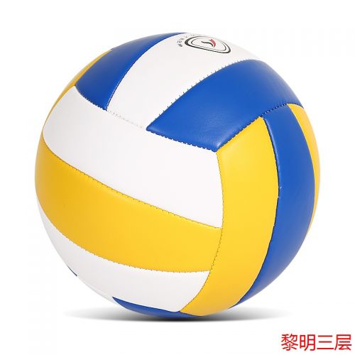 Ballon de volley-ball - Ref 2008025