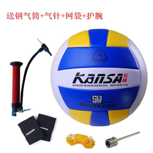 Ballon de volley-ball - Ref 2008030