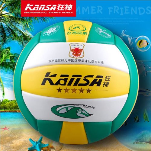 Ballon de volley-ball - Ref 2008035