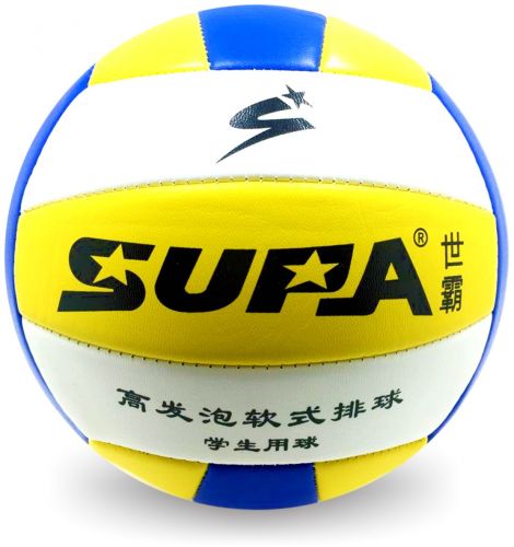 Ballon de volley ball 2008055