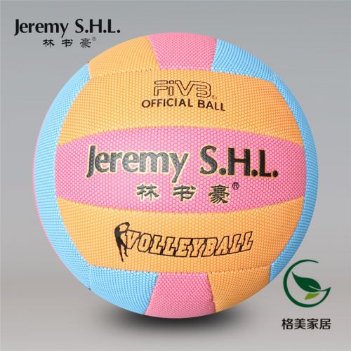 Ballon de volley-ball - Ref 2008062