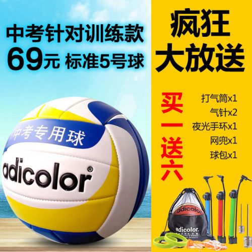 Ballon de volley-ball - Ref 2008076