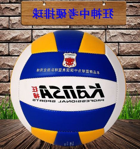 Ballon de volley-ball - Ref 2008113
