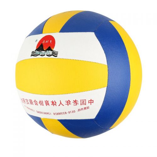 Ballon de volley-ball - Ref 2008116