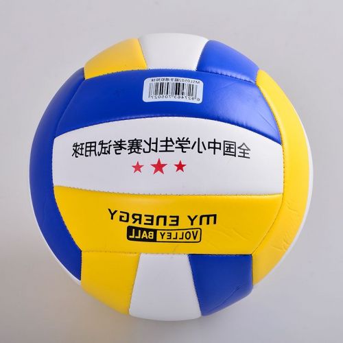Ballon de volley-ball - Ref 2008118