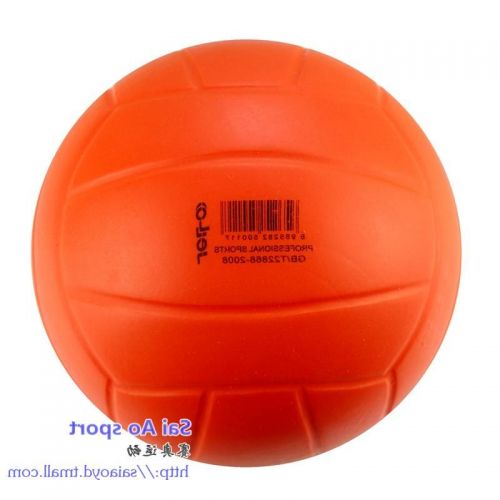 Ballon de volley-ball - Ref 2008133