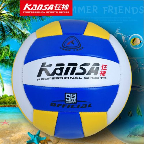 Ballon de volley-ball - Ref 2008190