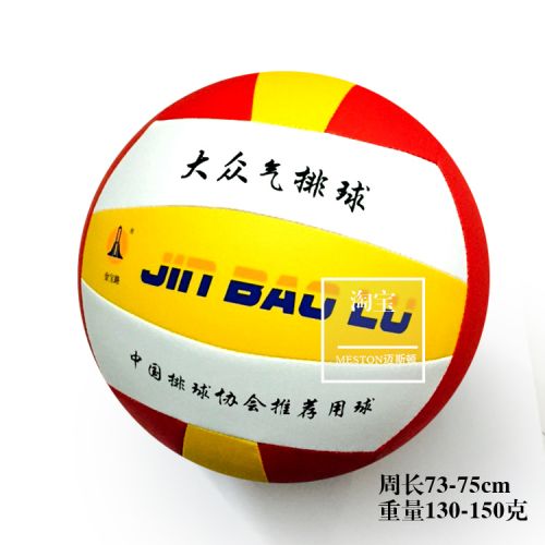 Ballon de volley-ball - Ref 2008253