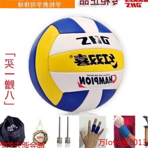 Ballon de volley-ball - Ref 2008292