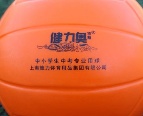 Ballon de volley-ball - Ref 2008293