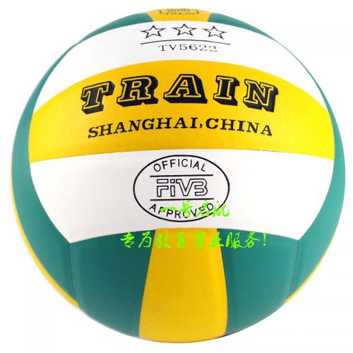 Ballon de volley-ball - Ref 2008315