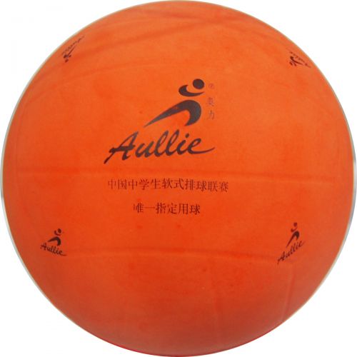 Ballon de volley-ball - Ref 2008318