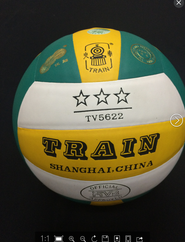 Ballon de volley-ball - Ref 2008377