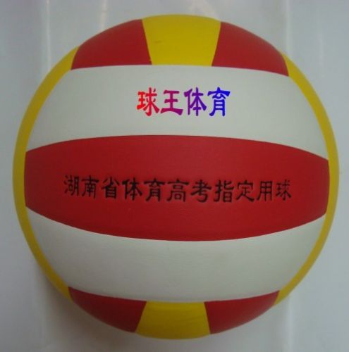 Ballon de volley-ball - Ref 2008383