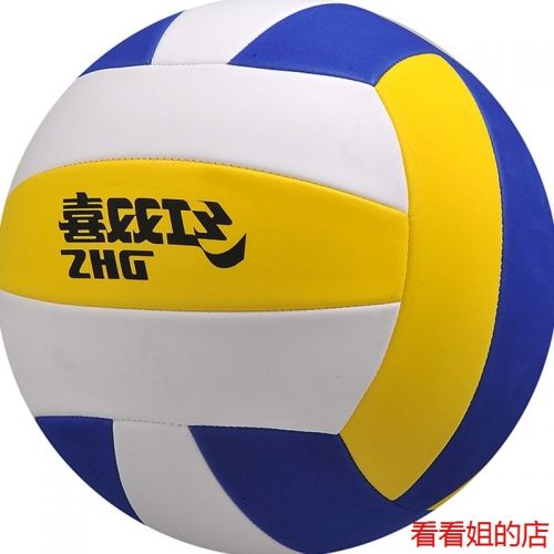 Ballon de volley-ball - Ref 2008400
