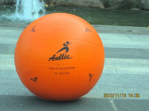 Ballon de volley-ball - Ref 2008446