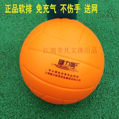 Ballon de volley-ball - Ref 2008452