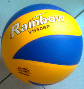Ballon de volley-ball DOUBLE FISH - Ref 2008453