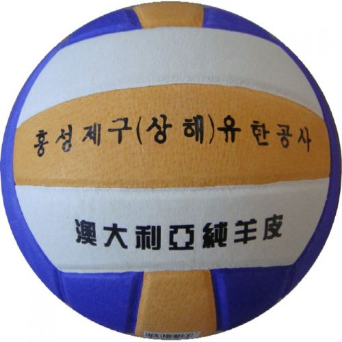 Ballon de volley-ball - Ref 2008476