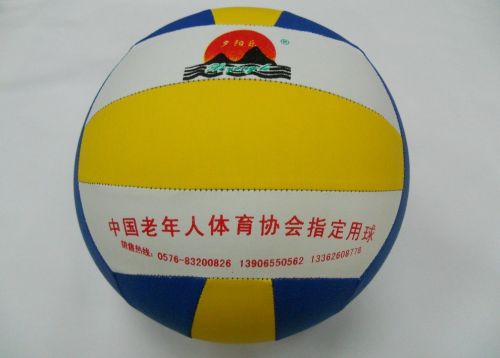 Ballon de volley-ball - Ref 2008502