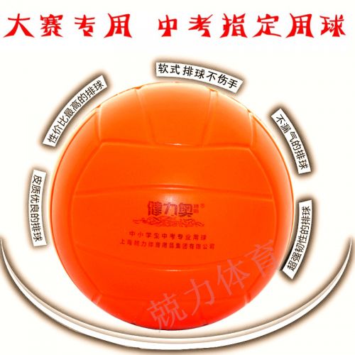 Ballon de volley-ball - Ref 2008521