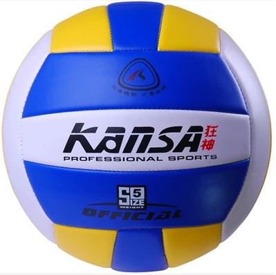 Ballon de volley-ball - Ref 2008536