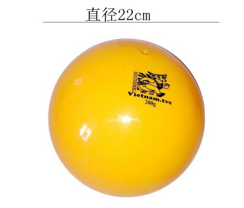Ballon de volley-ball - Ref 2008564