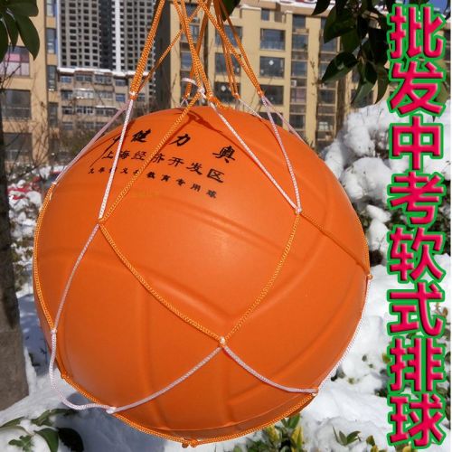 Ballon de volley-ball - Ref 2008583