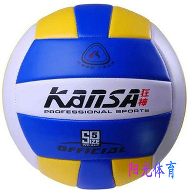 Ballon de volley-ball - Ref 2008740