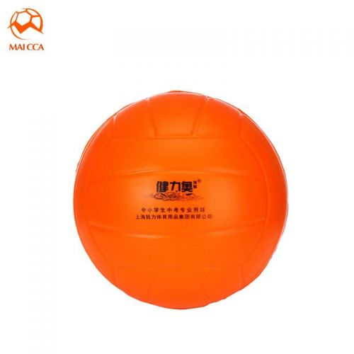 Ballon de volley-ball - Ref 2008753